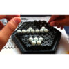 Abalone Go - Imagen 2